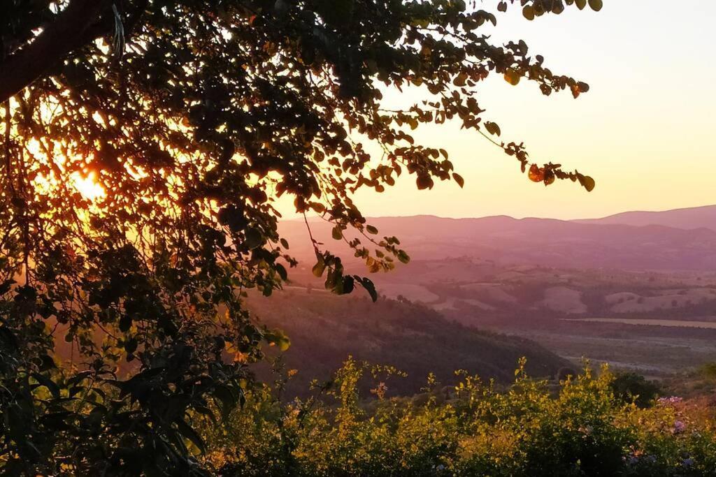 Casa Cavalli Polveraia Dış mekan fotoğraf